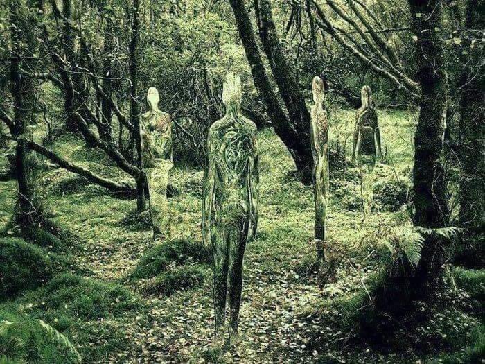 MJWayland's tweet photo. Mirror Figures as a part of an installation in Aberfoyle forest, where in the 1600s Rev. Kirk wrote about the fairies there (and was eventually taken by them).. https://t.co/DFDasfbP08