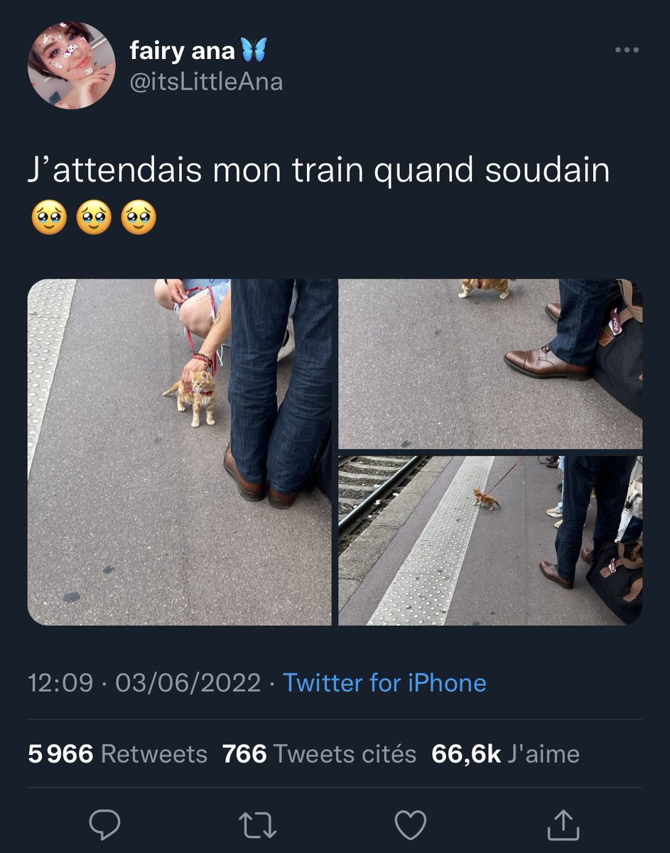 TopDesTwittos's tweet photo. Pendant ce temps sur Twitter https://t.co/ecLwS0r3z8