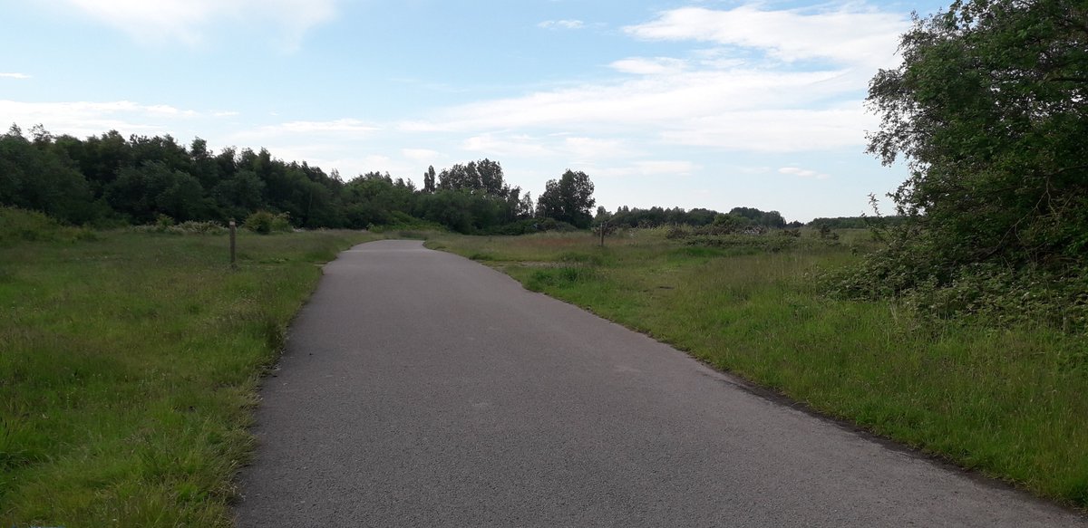 Bat1916's tweet photo. So I'd had a bit of a #romanticised view of my walk #hair ruined #bitlonely apart from some cyclists and scary dogs 😬😂 https://t.co/zJxBiFSElx