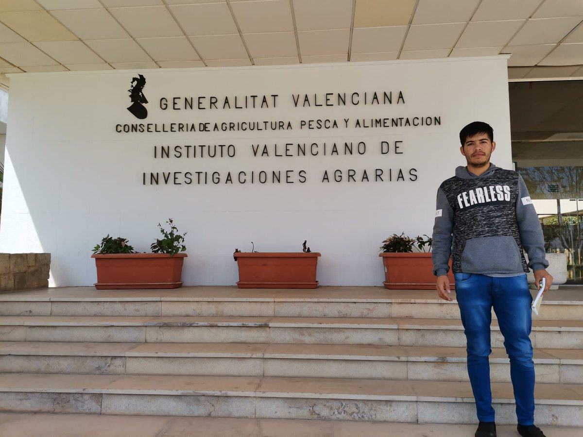 JavierGn13's tweet photo. Gracias a la financiación de @AECIDPARAGUAY, @acodea_ organizó la pasantía de un técnico de la cooperativa paraguaya #CITRICOOP en diferentes fincas de naranjos de la Comunidad Valenciana. https://t.co/X3UGOKZumS