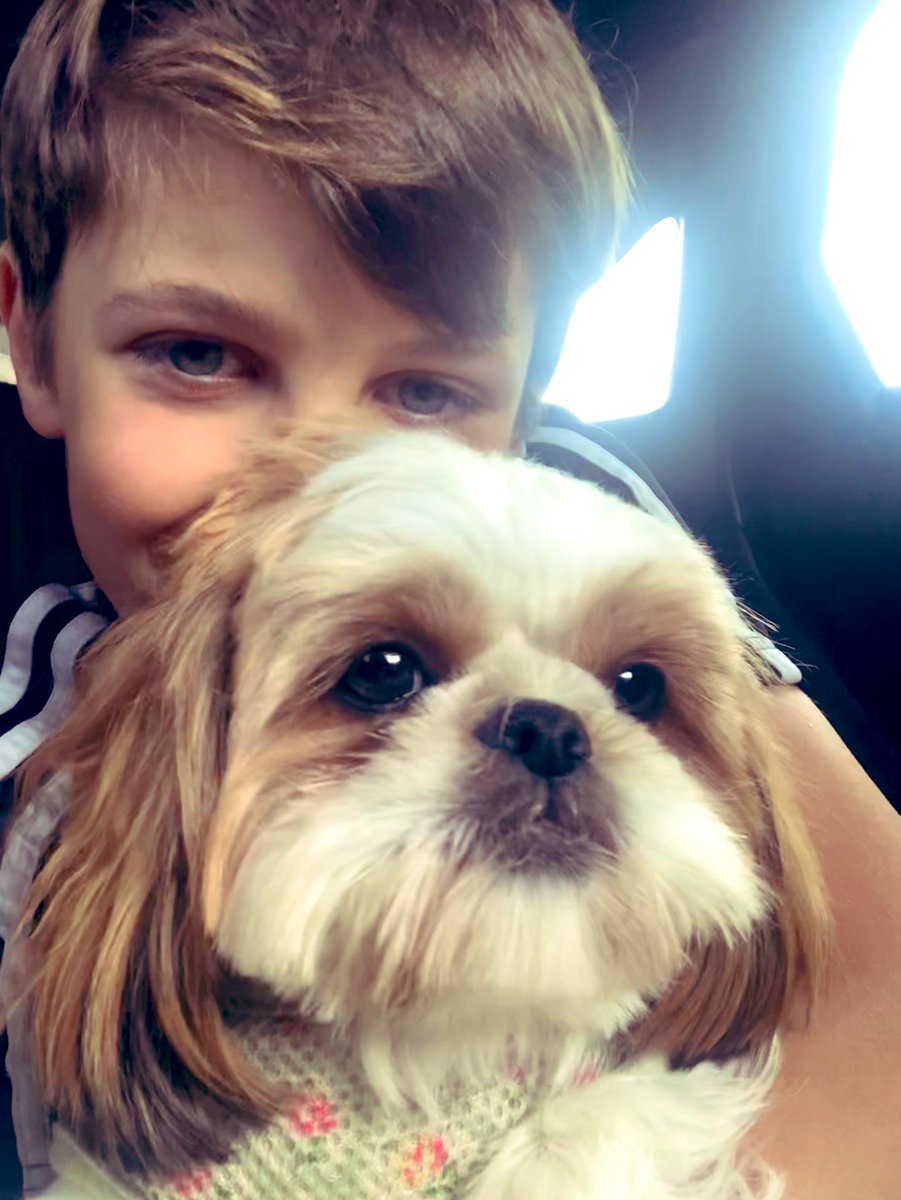 Me and my boy! #shihtzu #dogsoftwitter #love