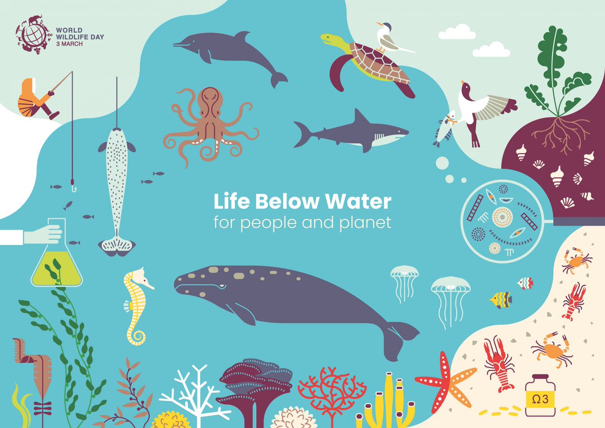 SDG_LAfinal's tweet photo. Why Life Below Water is So Important?

They aid in the decomposition and removal of garbage and pollution, and their coastal ecosystems serve as storm-damage buffers. Weather impact adaptation measures are aided by keeping the oceans healthy. https://t.co/BmS3JzF4mS