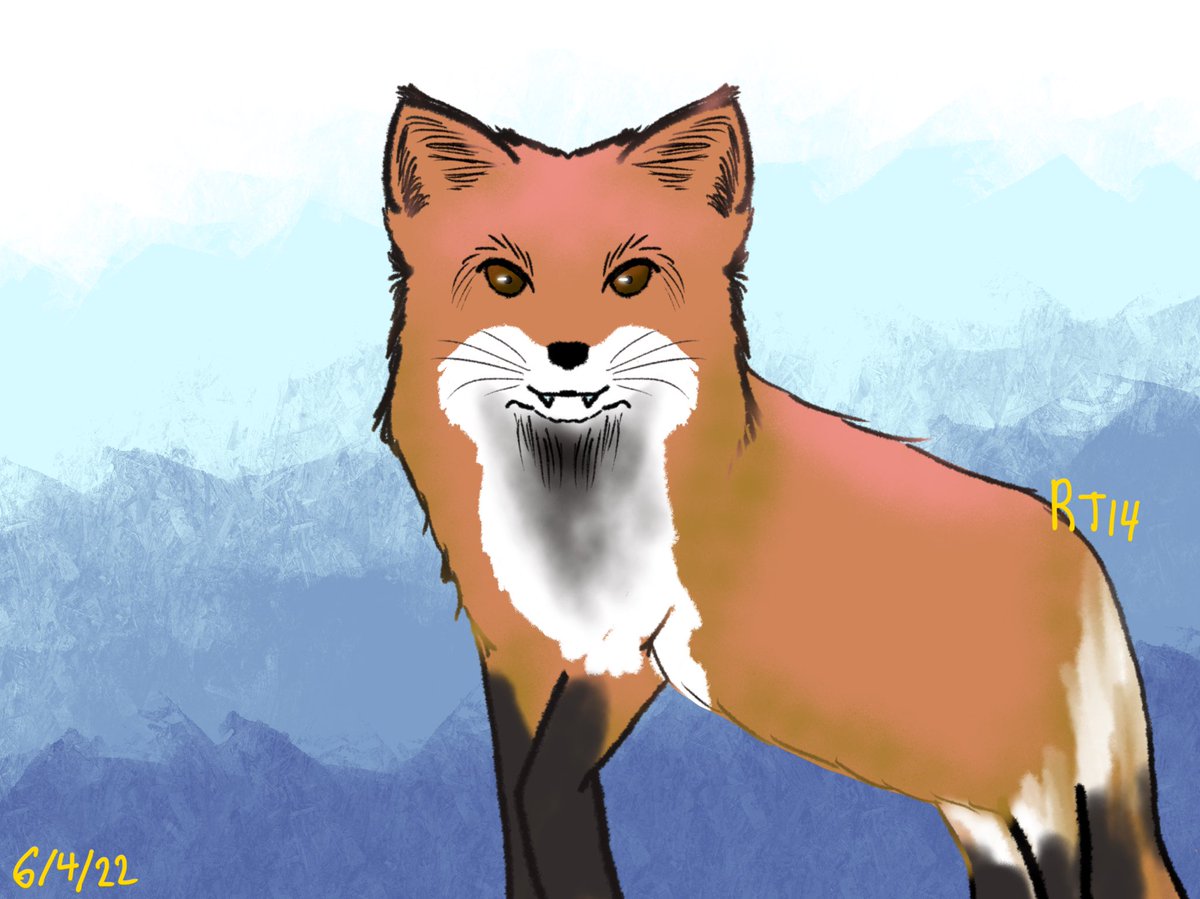 reptu14's tweet photo. Fox
#procreate #procreateillustration #fox https://t.co/8pJfnySDdU