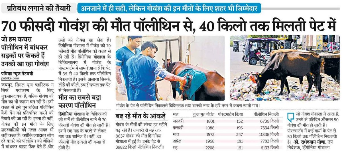 AshwaniJaipar's tweet image. #singleuseplastic गोवंश की मौत का कारण बन रहा है। 40 किलो तक पॉलीथिन गायों के पेट से निकल रही है। 
घर के बाहर पॉलीथिन में भरकर कचरा फेंकने से बचें...

@amitvajpayee 
@nagar_jaipur @drsomyagurjar @mayorjaipur @AvdheshMeenaIAS 
@8PMnoCM