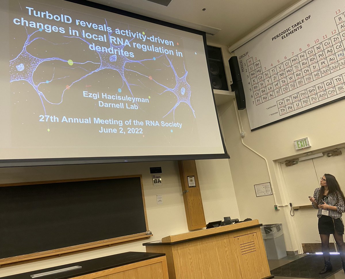 Had a chance to talk about my work on subcellular RNA localization and translation in neurons at the incredible #RNA22 @RNASociety meeting. Many thanks to the organizers, people who I had super helpful discussions with, and @ShechnerLab for capturing this.