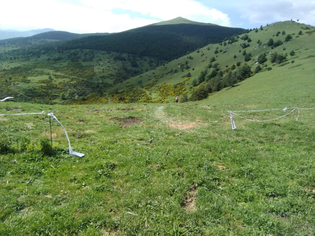 RaquelSerrat29's tweet photo. Fils oberts. Bestiar barrejat que portarà una setmana de feina als ramaders tornar a lloc. Cursa @elsbastions. Fa dos anys que @uniopagesos ens posem a disposició de l'organització i mai han volgut parlar. L'ajuntament de Ribes tampoc. Ja n'hi ha prou. Actuarem. https://t.co/C5rRt0MuNw