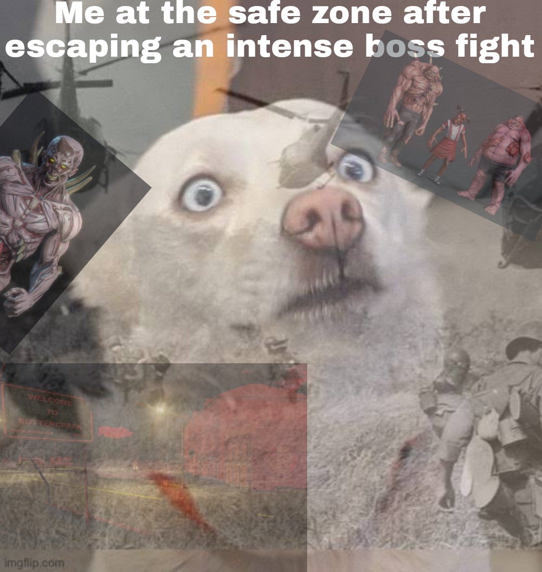 twighlight__'s tweet photo. Definitely not gonna scavenge alone @Zomfitoken @YouMemeWorld

@Aiko_042219 @CjKlais @esthet_adekanye 

#NFTcommunity #meme #NFT https://t.co/WRo9jf2WKp