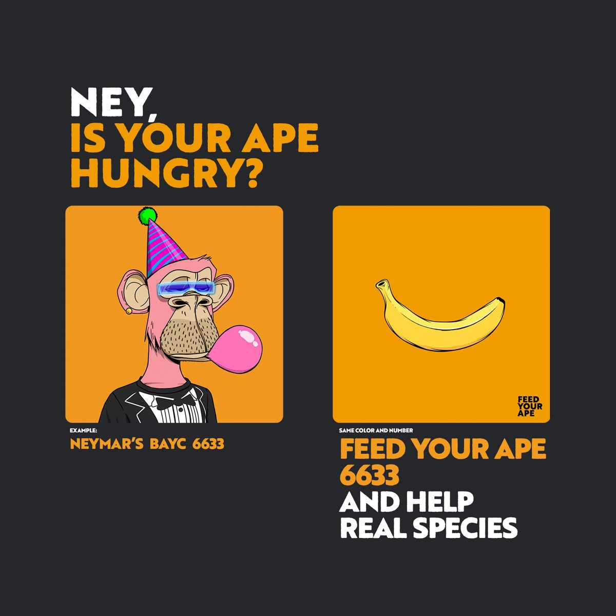 HungryTokens's tweet photo. #BAYC #BoredApeYC #HungryTokens #FeedYourApe
@neymarjr #NFTinvestors #nftcollectors #NFTProject https://t.co/GOepAVns7B