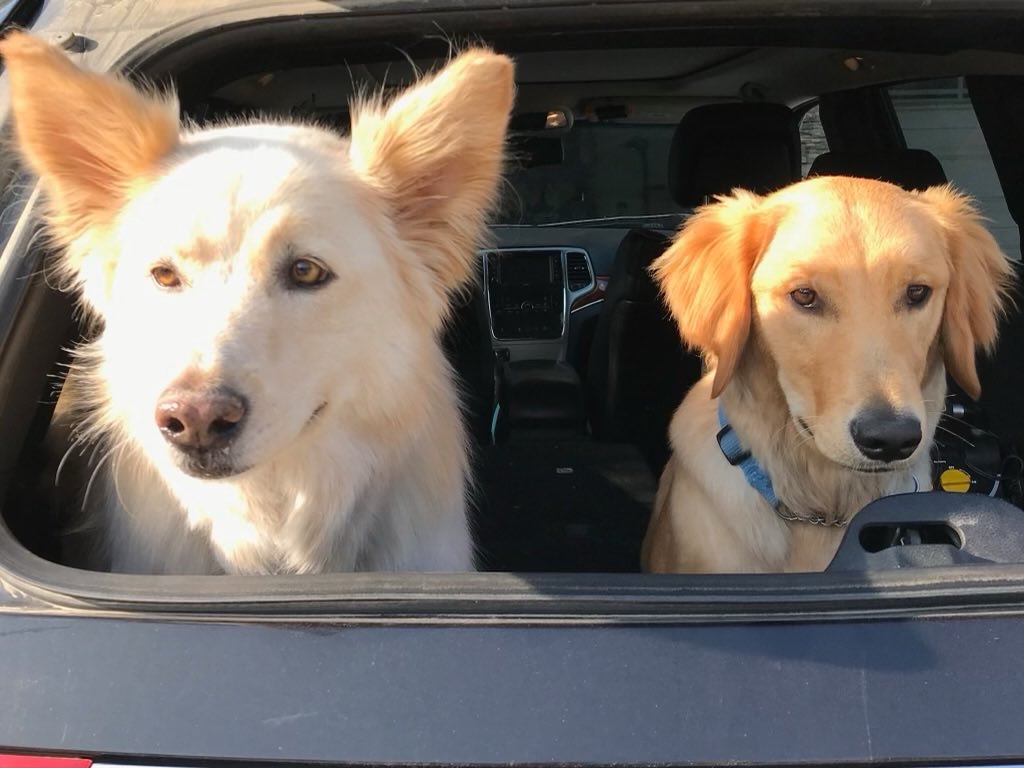 Jayson Harvey tweet media