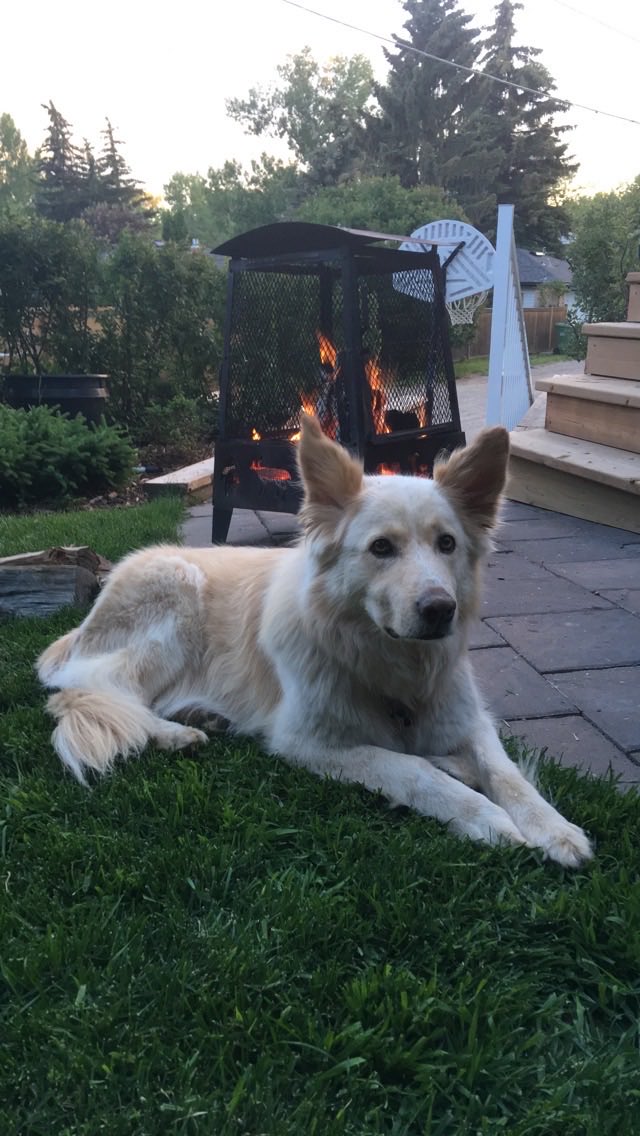 Jayson Harvey tweet media