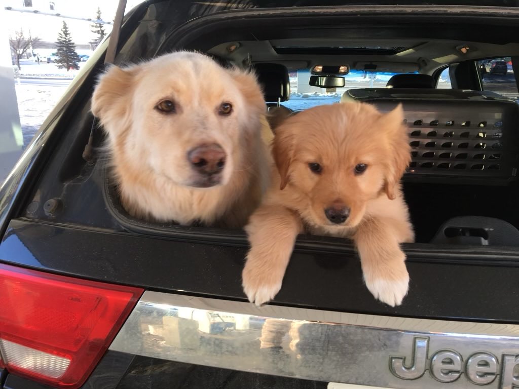 Jayson Harvey tweet media