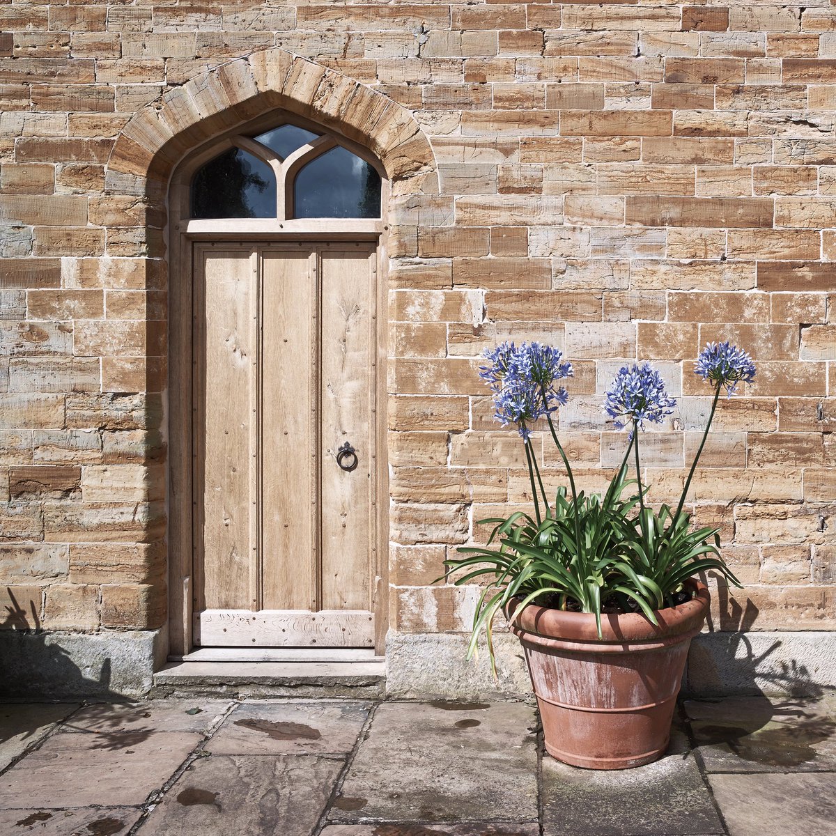 JackBadgerLtd's tweet photo. Arched oak frame with a glazed top allowing extra light enter the room as well as looking pretty. 

#door #externaldoor #traditionaljoineryskills #countryhome #countryliving https://t.co/eREeTqlrcE