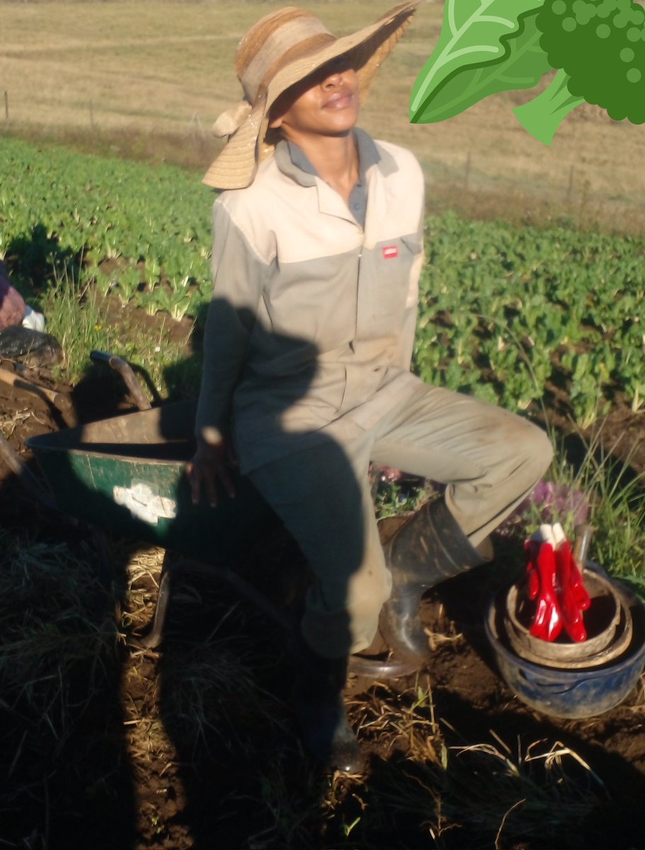 QueensGreens2's tweet photo. I love what i do. Farm girl. https://t.co/RIv8HsVSUC