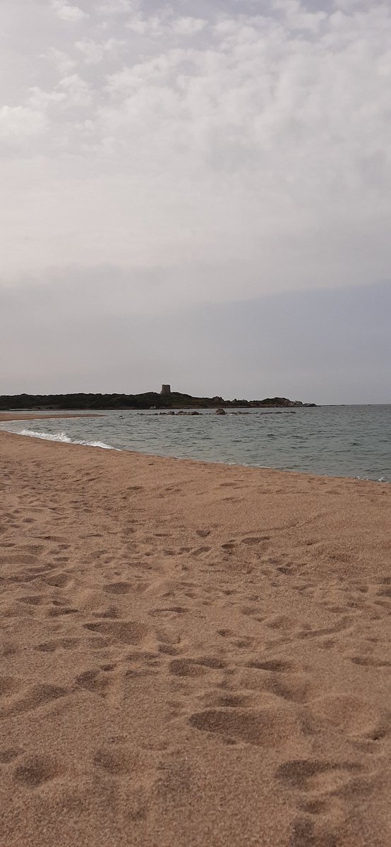 Nutcracker 💍 tweet media