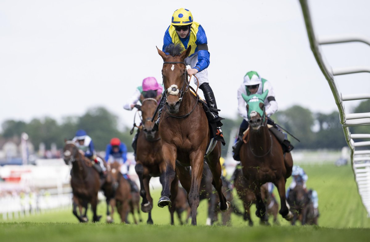 edward_whitaker's tweet photo. Desert Crown ridden by Richard Kingscote stormed to victory in The Derby on a day that continued the Queen’s Platinum Jubilee celebrations with her jockeys lining up for a photograph in her racing colours #platinumjubilee #thederby #sonya1 #gmaster @racingpost @RKingscote https://t.co/5FVVwm5tro