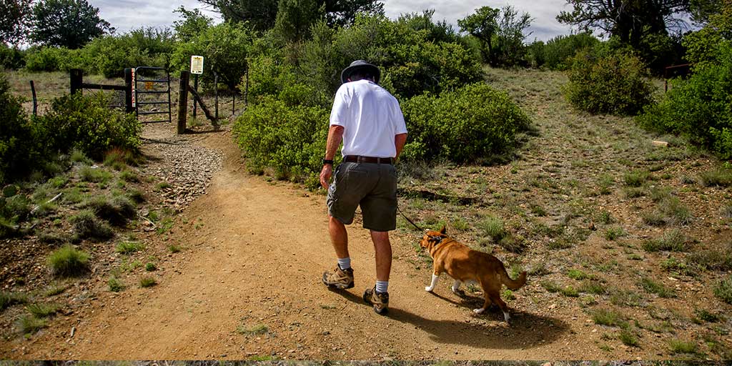 PrescottNF's tweet photo. It's #NationalTrailsDay! #DYK Prescott NF has about 950 miles of trails? From paved to Wilderness, easy to challenging, motorized and non-motorized. Find your perfect trail today! https://t.co/kG43EUKR3S #Hike #Bike #Equestrian #OffRoadAZ https://t.co/3io76Ig56r