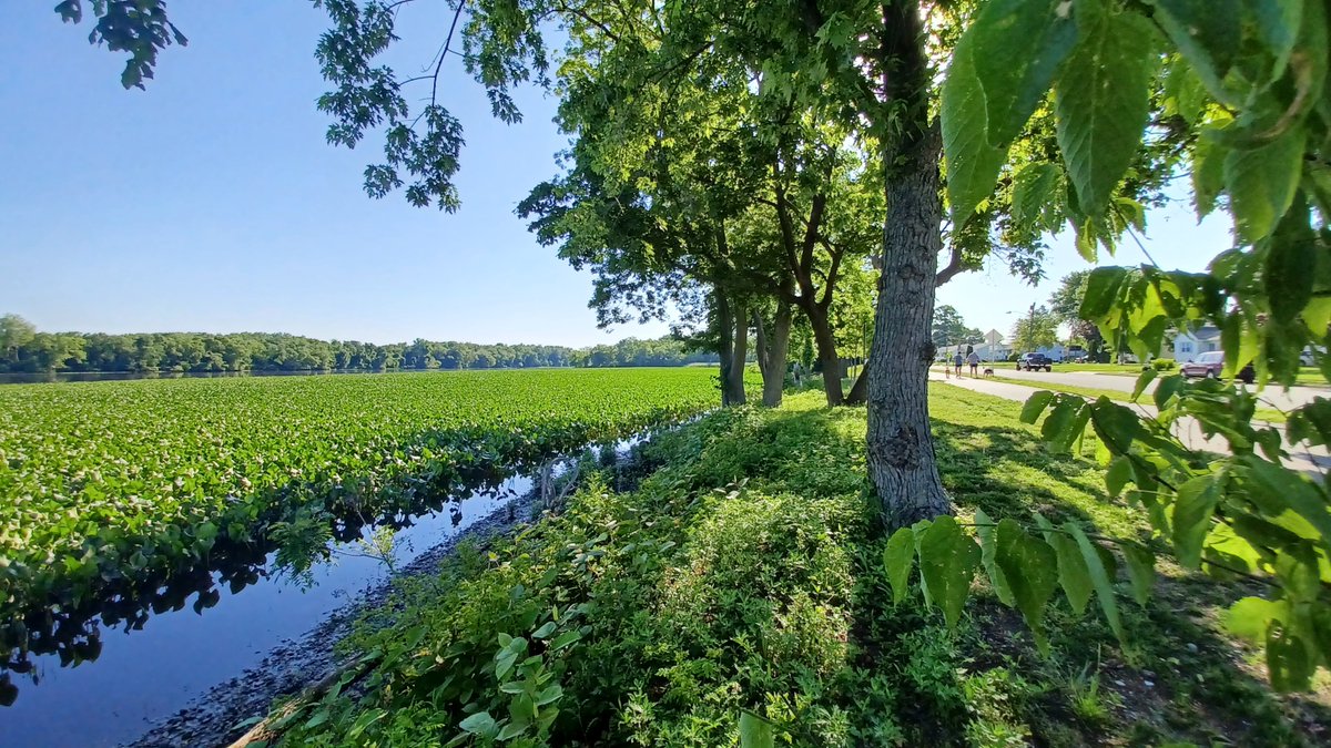 raschall's tweet photo. Thank you for coming out! People need to try out this amazing gem of a trail, the new Rancocas Creek Greenway segment in Riverside and Delanco, NJ #onthecircuit #delawareriverheritagetrail #DRHT #eastcoastgreenway https://t.co/xqZojF62BD