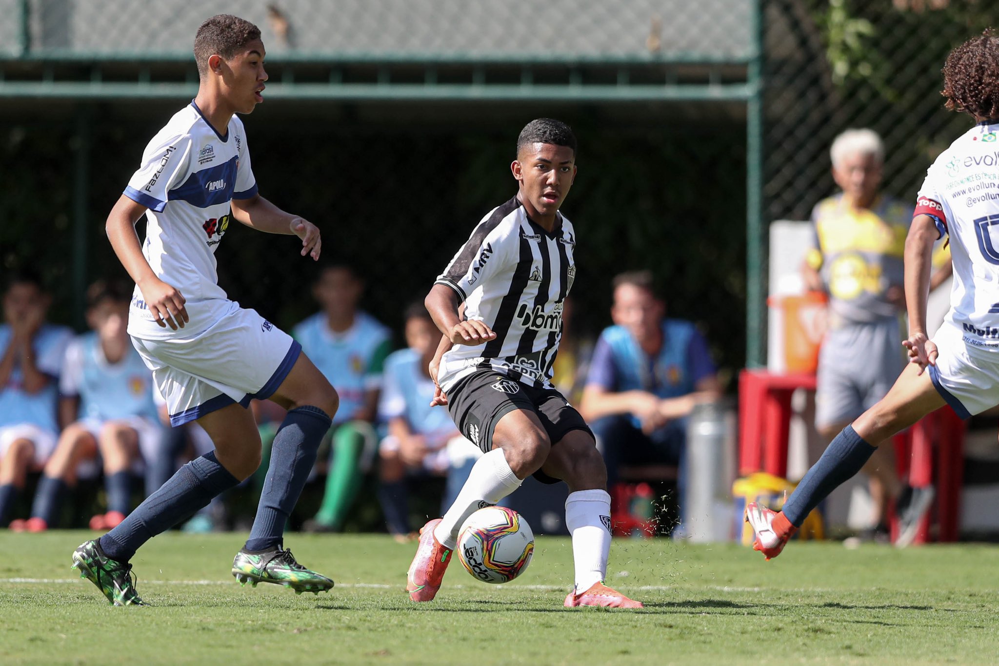 Galo na Base on Twitter: Galo na Base on Twitter: