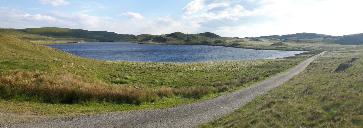 GayleMarsh14's tweet photo. Time to press the reset button today with a day chasing wild brown trout on #TeifiPools The wind was beastly but a few good fish came to the net. After International fishing it was good to be back in my comfort zone. 
#SharingFliesWithaStranger 
#FlyFishing
#ifyouknowyouknow https://t.co/74LlRlwm3n
