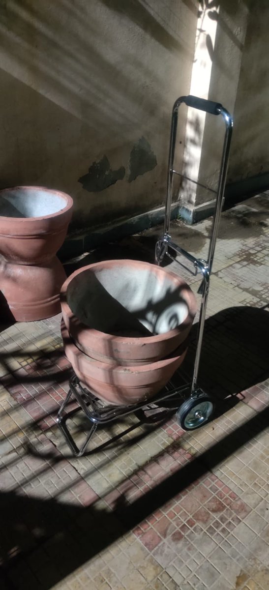 bhatt1619's tweet photo. We have bought this trolley for our volunteer
to carry Water Pots and gallon for water replenishment in Khora Village (Delhi).
#WaterPots
#Strays
#Dogs
#paani
#Waterforstrays
#crowdfunding https://t.co/StMHAwBF8X