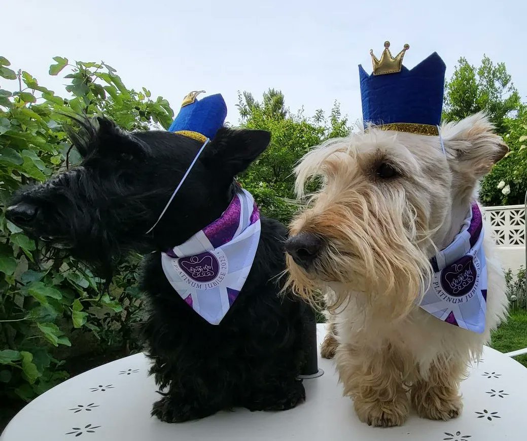 LondonScotClub's tweet photo. #Royal @pik_ush and @pudding2015 send a wave to all subjects enjoying the @Platinum2022 #Jubilee celebrations @Jubilee_Pageant Long Live the Queen! https://t.co/LO2fDc8X87
