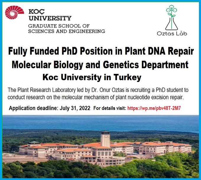 agristok's tweet photo. 📌 Fully Funded PhD Position in Plant DNA Repair🌱🧬 at Molecular Biology and Genetics Department of Koc University in Turkey 🇹🇷... Please Retweet and spread the word! For details visit the link below👉 https://t.co/yc1M6kFpDE https://t.co/i4zIppBJDX