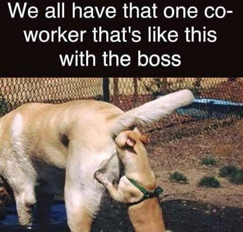 BoniWith's tweet image. true ? 🤭