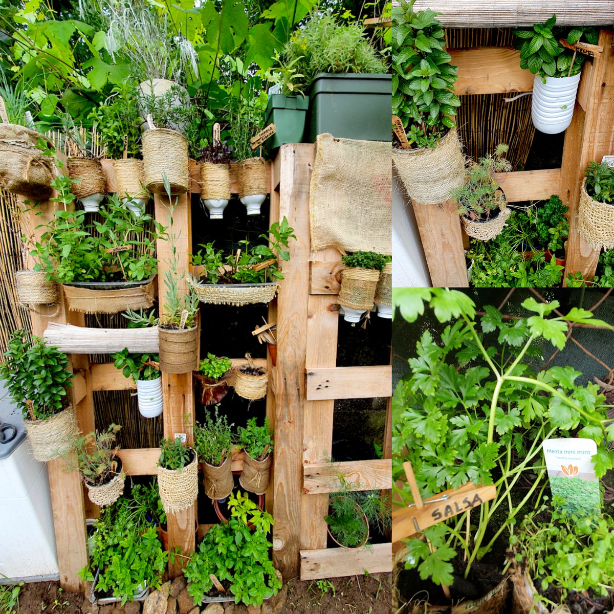 anobre1's tweet photo. Horta de aromáticas com @anobre1 @UMinho_Oficial @cienciasuminho. Falta estragão. E que mais? #horta #hortavertical #ervasaromaticas #temperos #ambiente #sustentabilidade #sustentabilidadeambiental #botanica #BiologiaAplicada #BiologiaVegetal #plantas #natureza #sabores #aromas https://t.co/68cLAJAArE