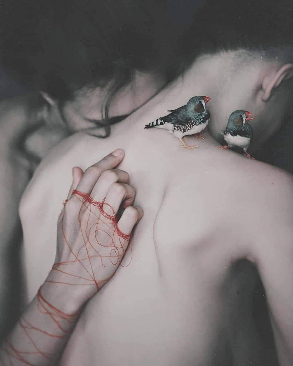 oktobre17's tweet photo. "He stirred my soul in the most subtle way and the story between us wrote itself."
Nikki rowe
πΈ Laura Makabresku
#redthreadoffate #redstringoffate #connectedsouls #connection #spirit #stirrings #soul #love #lauramakabresku #nikkirowe https://t.co/SPC4mxJEo3