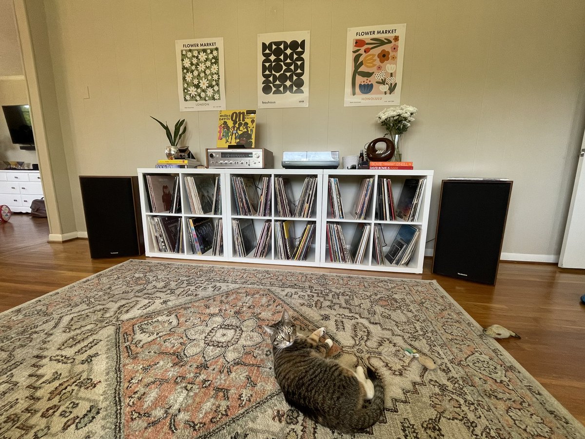 Noni (@anthonydlr16) on Twitter photo 