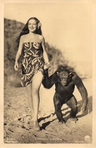 RottenAppal's tweet photo. The crypto that we should all really be focusing on is cryptozoology https://t.co/8dczM39QWG