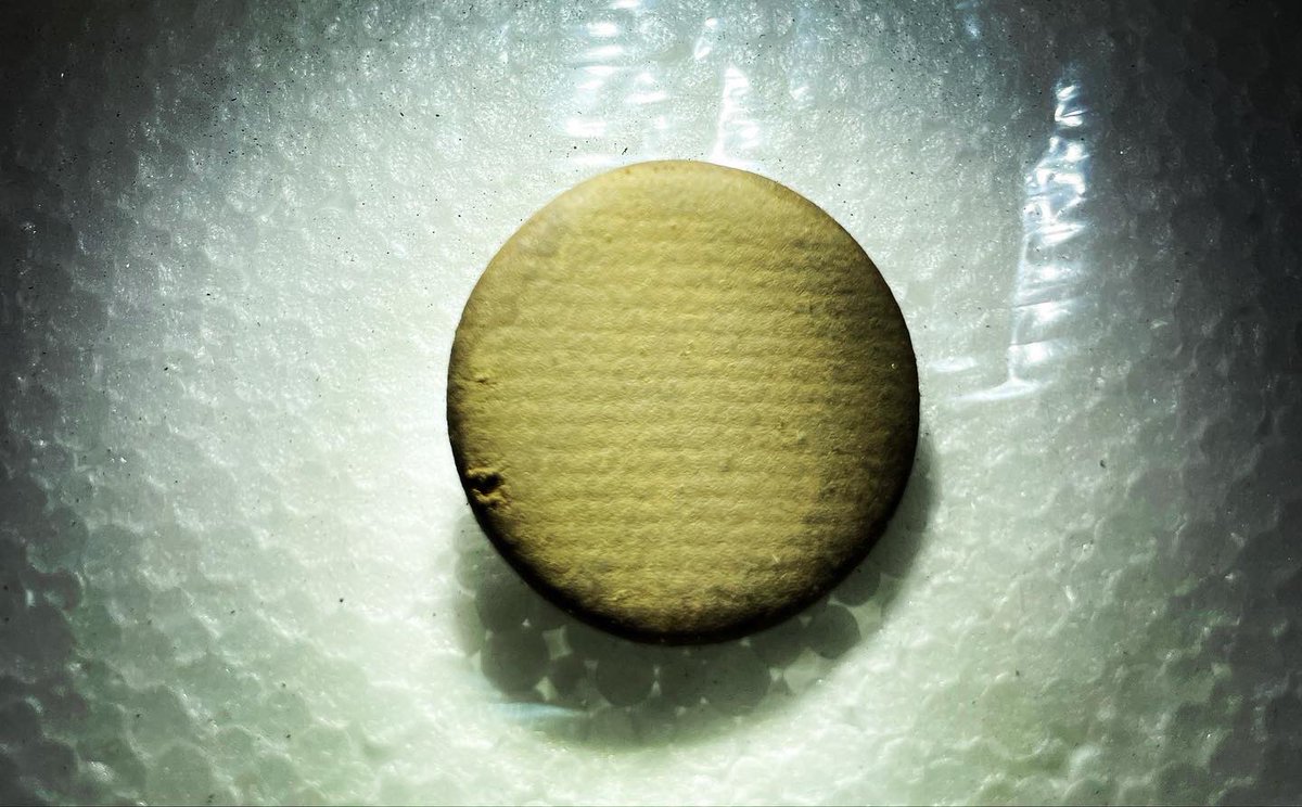 Coil To The Soil tweet media