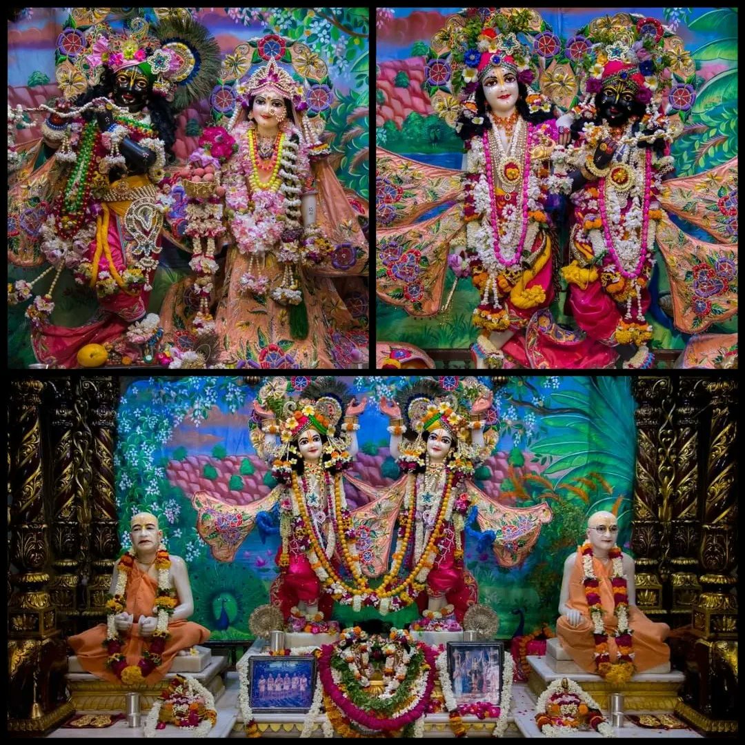 vrajaviharinis's tweet photo. 🤩😍DAILY DARSHAN😍🤩
(Iskcon Vrindavan)
(Iskcon Mayapur)
(Iskcon Pune)
(Iskcon Kolkata)
#lordkrishna #srimatiradharani #panchatatwa #jaijaganathdev #jaisubhadramaharani #jaibalaramdev #dailydarshan #auspicious #beauty #jaigaurnitai #jaigirirajbhagvan #jaisrinrishangadev #Iskcon https://t.co/JXh6KmmHWi