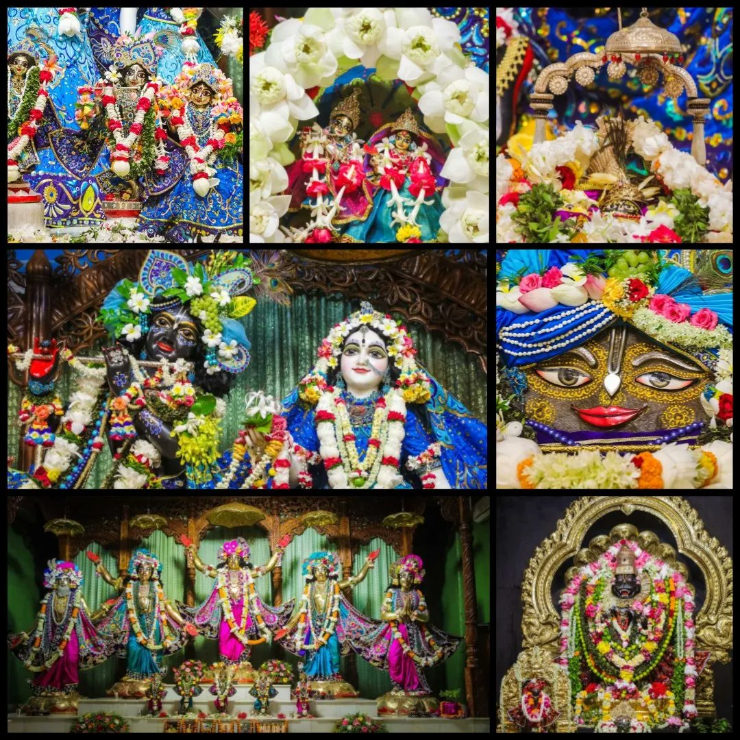 vrajaviharinis's tweet photo. 🤩😍DAILY DARSHAN😍🤩
(Iskcon Vrindavan)
(Iskcon Mayapur)
(Iskcon Pune)
(Iskcon Kolkata)
#lordkrishna #srimatiradharani #panchatatwa #jaijaganathdev #jaisubhadramaharani #jaibalaramdev #dailydarshan #auspicious #beauty #jaigaurnitai #jaigirirajbhagvan #jaisrinrishangadev #Iskcon https://t.co/JXh6KmmHWi