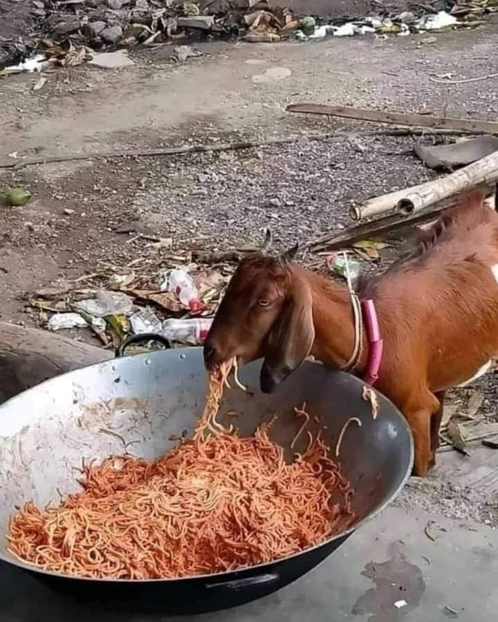 Goin live in about an hour pic unrelated