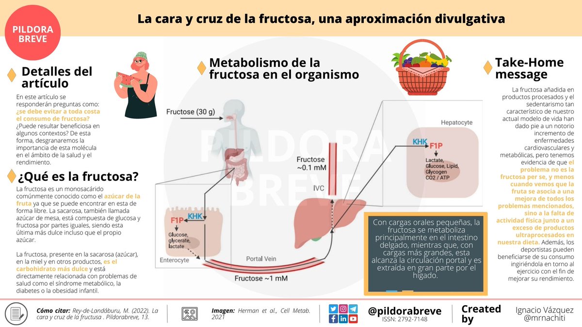 pildorabreve's tweet photo. 📊 La siguiente infografía muestra como es el metabolismo de la fructosa en nuestro organismo
📲https://t.co/zT0G7vMnlV
#sinciencianohayfuturo #fructosa #fisiologia @rdlnutricion https://t.co/Bm1i4nWuT7