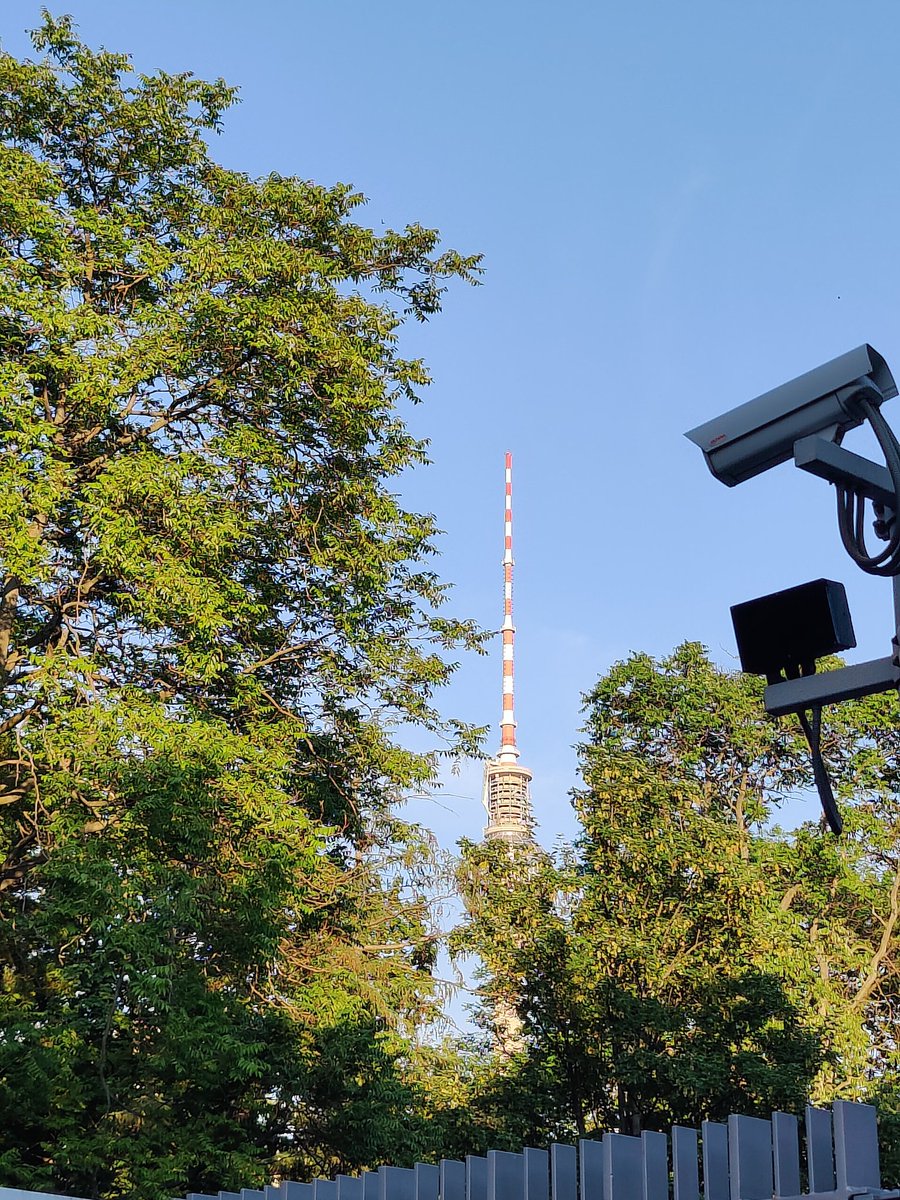 dannybasic's tweet image. don't send me an SMS. Just call.