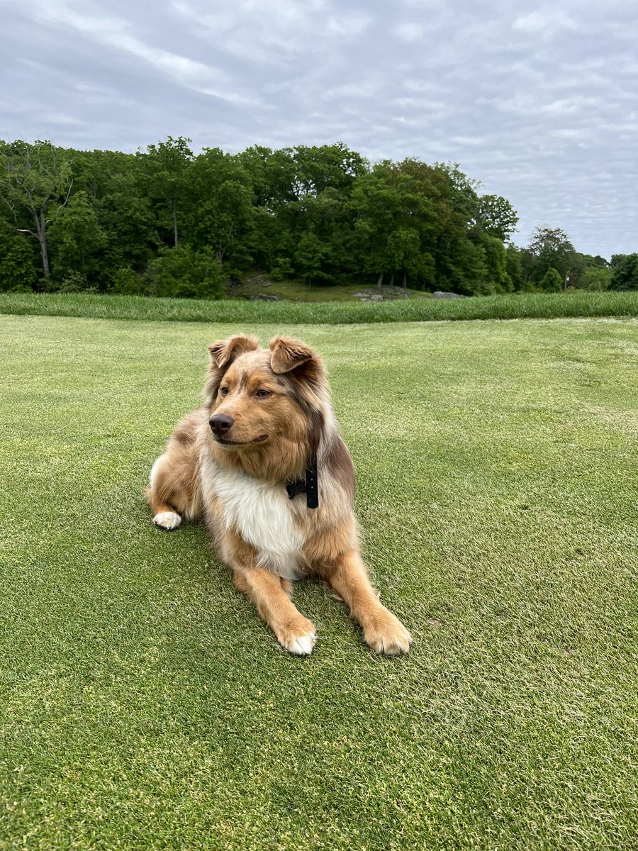 Matthew Crawford tweet media