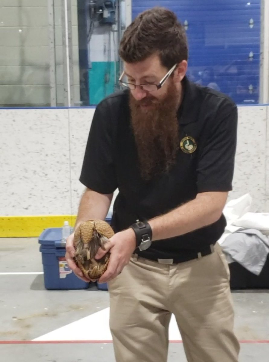 The Blackburn Fun Fair is BACK and it feels like home ♥️

We ate pancakes, the boys tried rock climbing and I got to see an armadillo up close, so really, what more could you ask for?