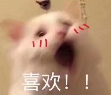 Kerriedin's tweet photo. ฉันด้วย！！！ https://t.co/mPUMZbniPP