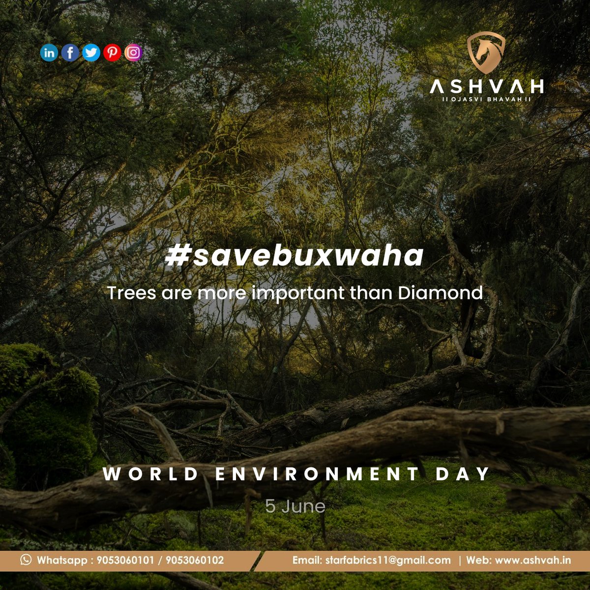 Earth is like our home and we must make efforts to keep it clean and green. On the occasion of World Environment Day, let us promise to make it a better place to live!
#savebuxwahaforest 
#worldenvironmentday #environment #nature #worldenvironmentday2022 #environmentday #gogreen