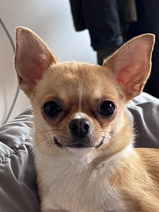 a Nami portrait. https://t.co/9Jszas2ZRt<a href="/tag/barbie"class="tags"><span>#barbie</span></a><a href="/tag/oppenheimer"class="tags"><span>#oppenheimer</span></a>