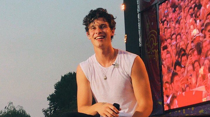 shittokindaok's tweet photo. thinking about the shawn mendes festival tour in 2018,,, yeah he was in his element https://t.co/NcgbHUTxLx