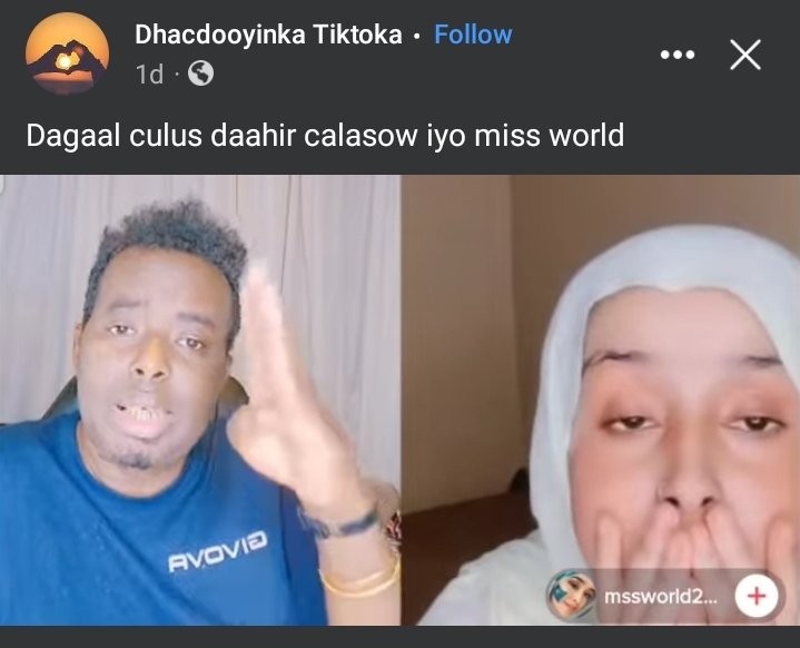 MZahidOmar's tweet photo. This is dangerous guys!
Notorious #MBB murderer #DahirAlasow is here on a whispering session live on TikTok with the famous lively young patriot #MssWorld in a criminal attempt to indoctrinate the young lady with his clannism scheme by the carrot & stick approach.
@HSKhayre https://t.co/sZdBxSlnEm