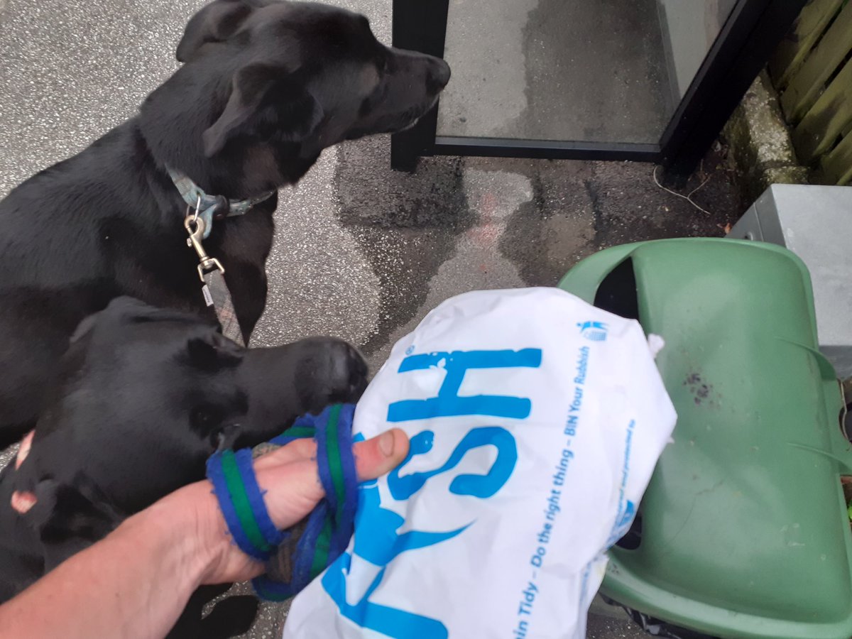 They didn't so we did. #idiots