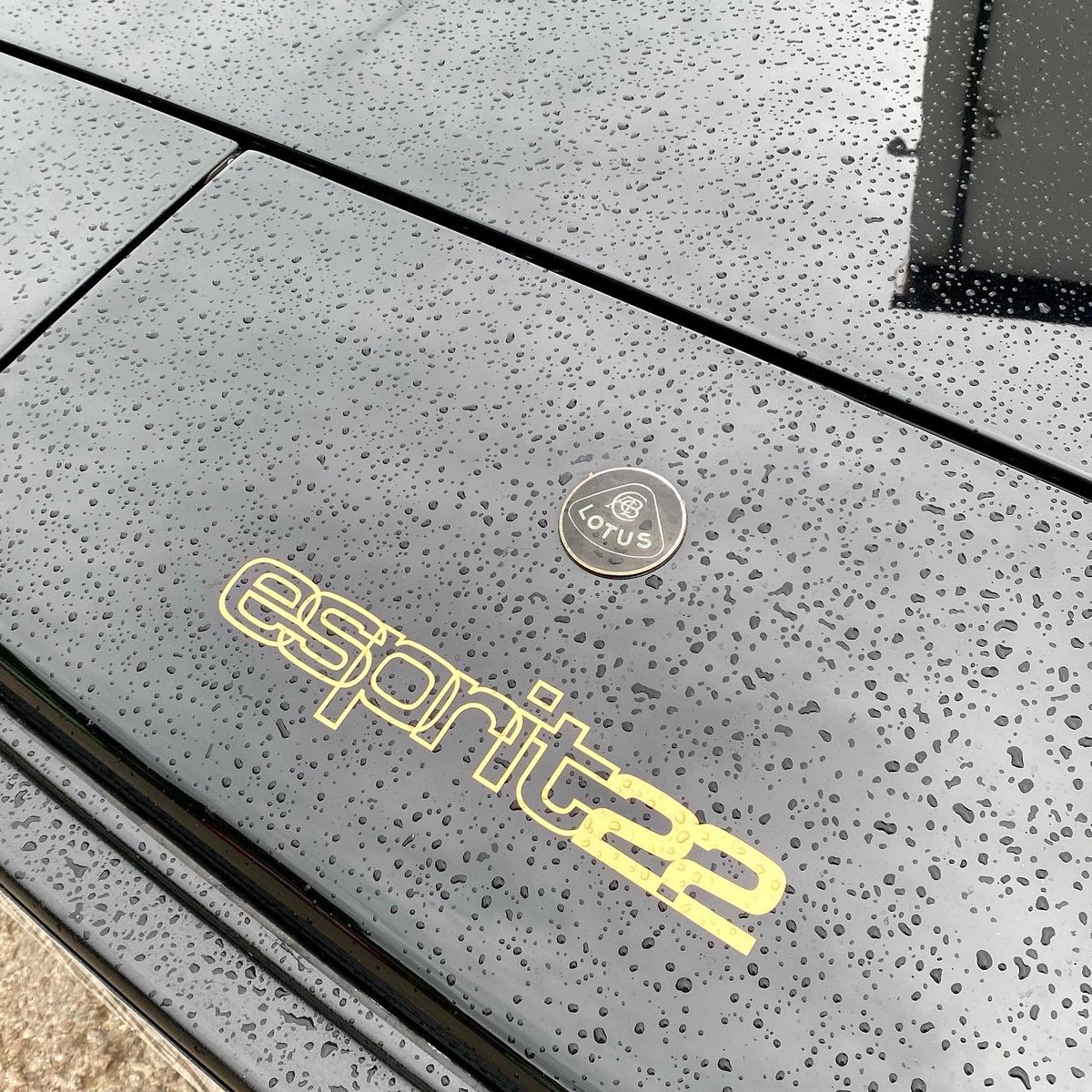 DillybrookCars's tweet photo. Very Nice #LotusEsprit #jps @CaffandMac https://t.co/80eap811T5