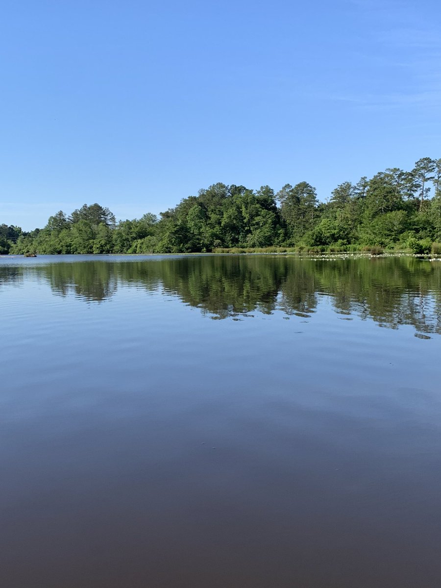 Qtowndawg's tweet photo. Had a good morning on the lake just paddling around. #kayaking #crescent #liveinthecurrent https://t.co/pwJwDiwsGS