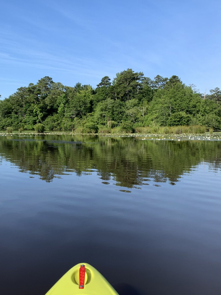 Qtowndawg's tweet photo. Had a good morning on the lake just paddling around. #kayaking #crescent #liveinthecurrent https://t.co/pwJwDiwsGS