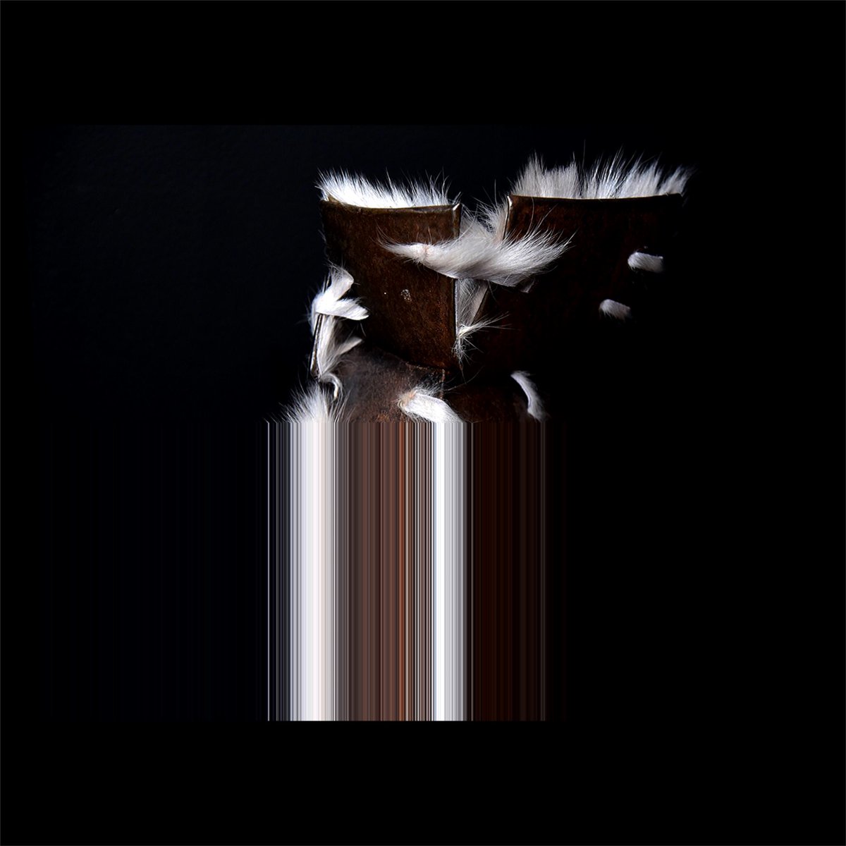 BROWN SPATULA
Digital Art