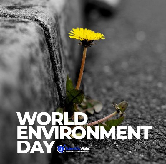 scientificwebs's tweet photo. 🌼👍To keep the world clean, you need to go #Green. 🌎
To go Green, you need to #ThinkClean. 
. 
. ❤
. 

#worldwide #worldenvironmentday #savetheplanet #climatechangeisreal #environmentalawareness #happyenvironmentday #environmental #climatechange #gogreen #saveearth https://t.co/LaGy2FsJ3h